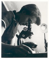 Rosalind Elsie Franklin al microscopio nel 1955.
 
