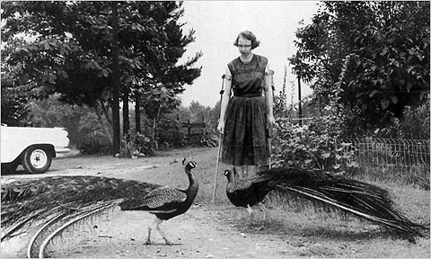 Flannery O'Connor and peacock.