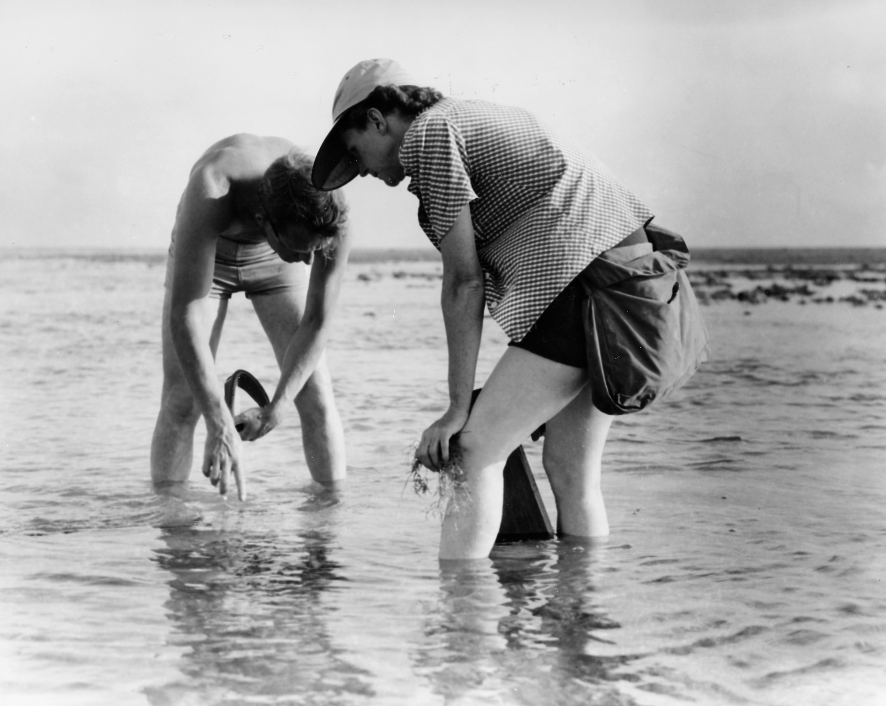 Rachel Carson conduce una ricerca con Bob Hines nelle acque dell'Oceano Atlantico (1952).