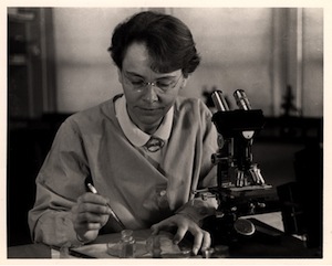   Barbara McClintock nel suo laboratorio, 1947.
